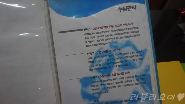대영레포츠 이미지