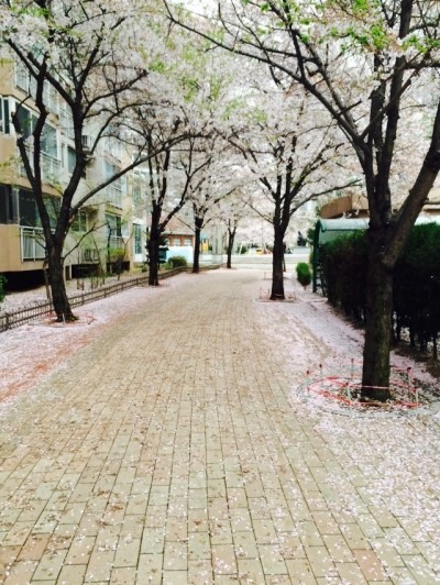 (주)투위 이미지