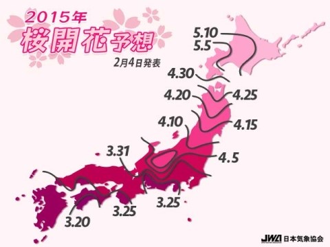 하나미 이미지