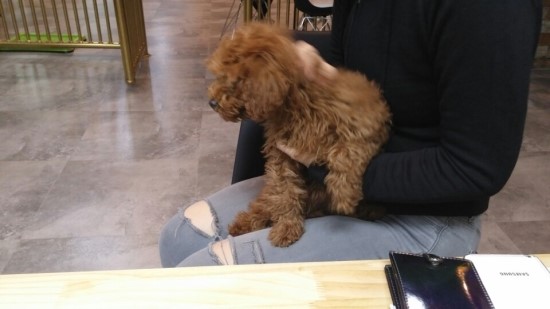 개편한까페 이미지