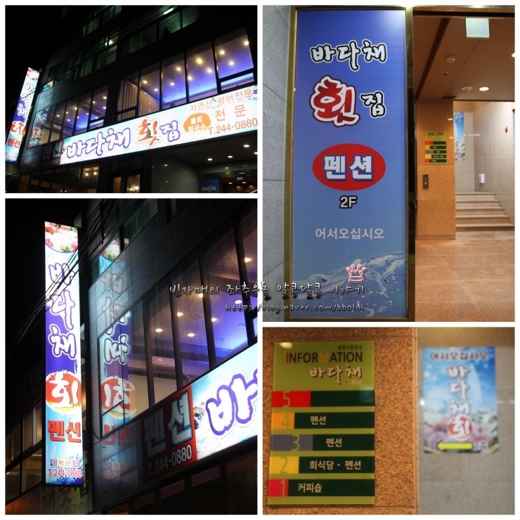 바다채 이미지