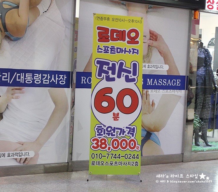로데오스포츠 이미지