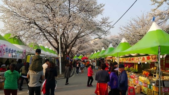 사단법인 제천문화예술위원회 이미지