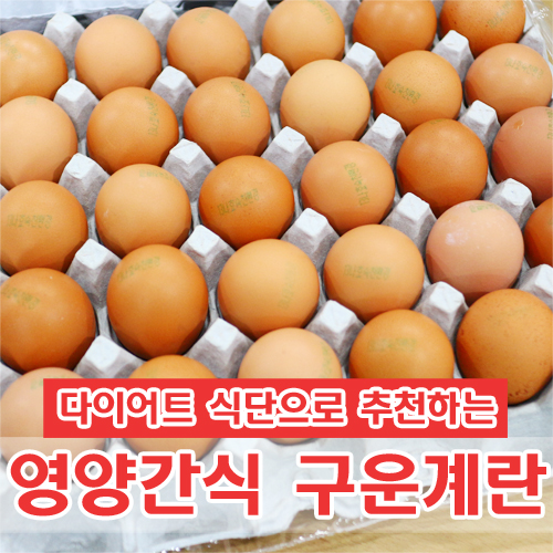 진안촌 이미지