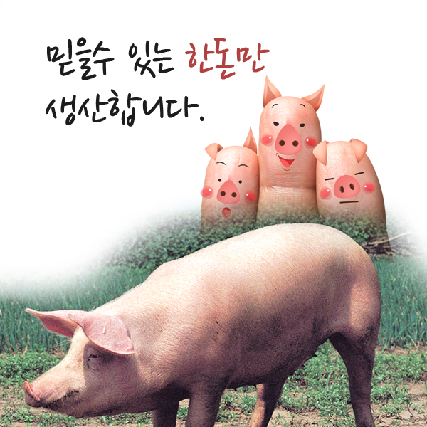 영농조합법인 운도축산 이미지