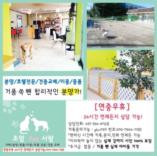 조암카페 이미지