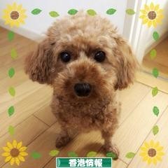 아침베이커리 이미지