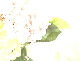 진우정보 이미지