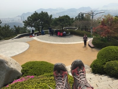 꽃게와사랑에빠지다 이미지