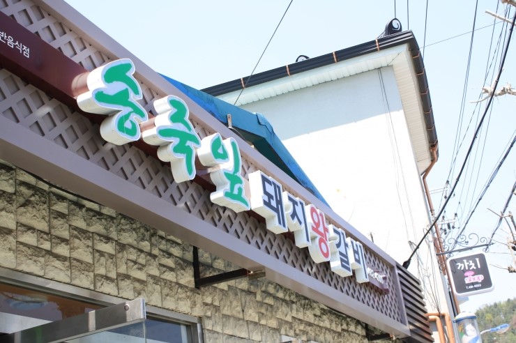 송죽잎 이미지