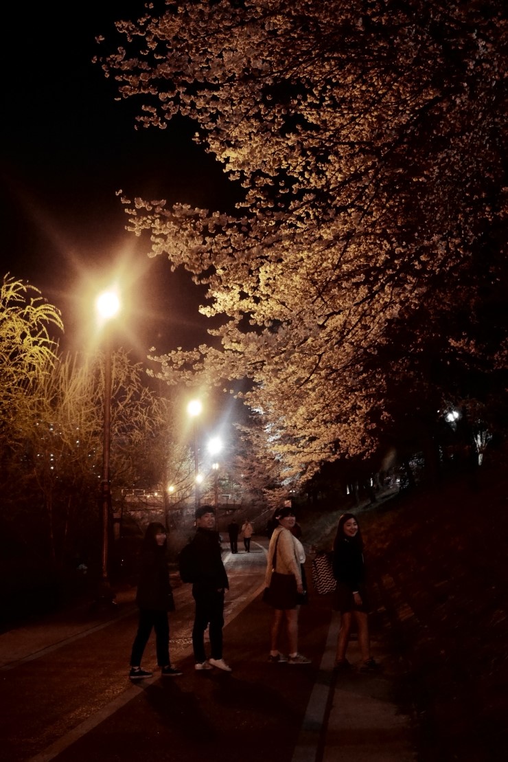 창수파이브 이미지