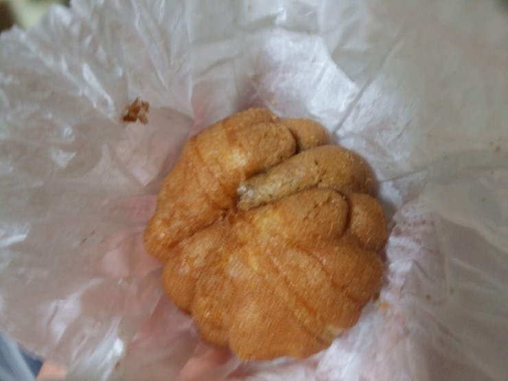 코코호도 이미지