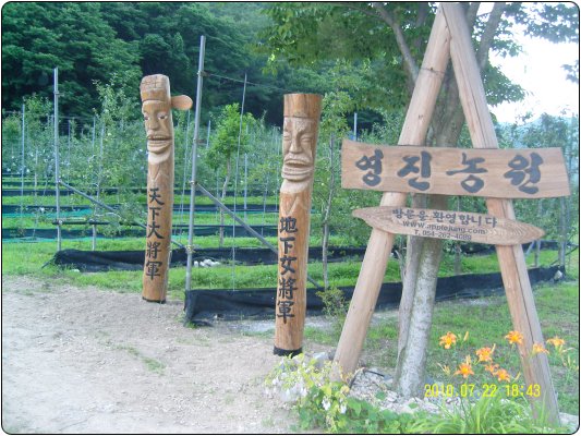 영진농원 이미지