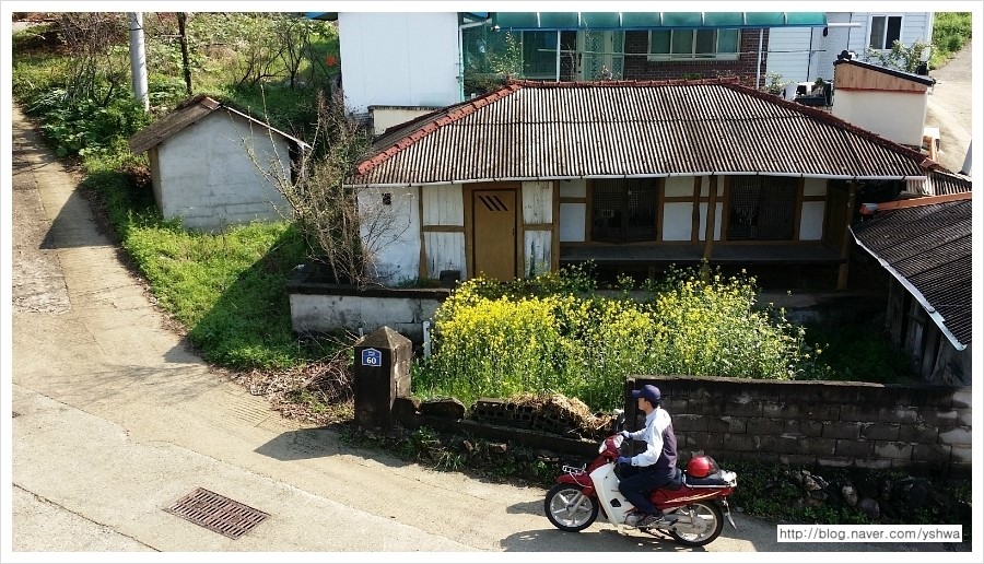 포토에세이주 이미지