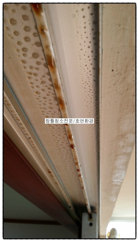 호연환경 이미지