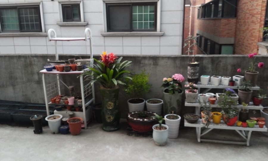 몽실화원 이미지