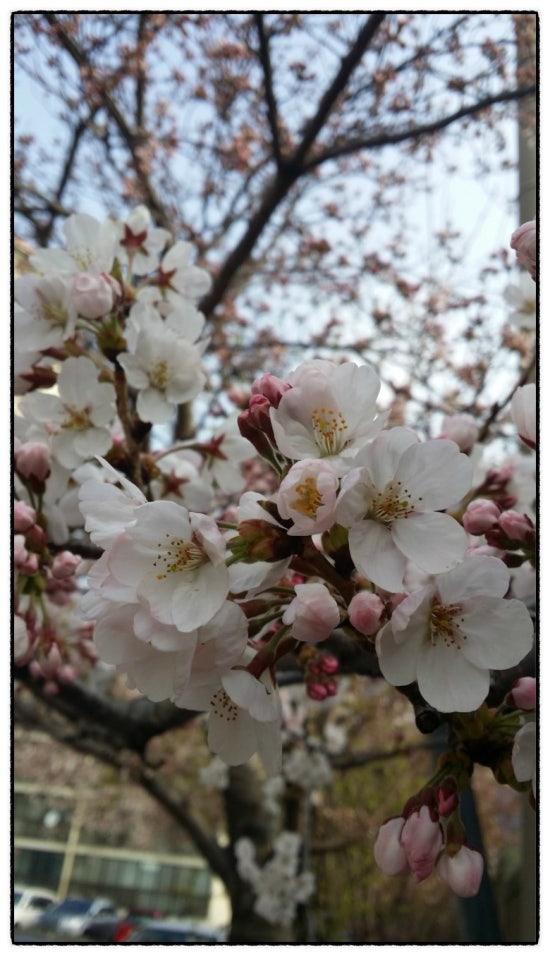 호연환경 이미지