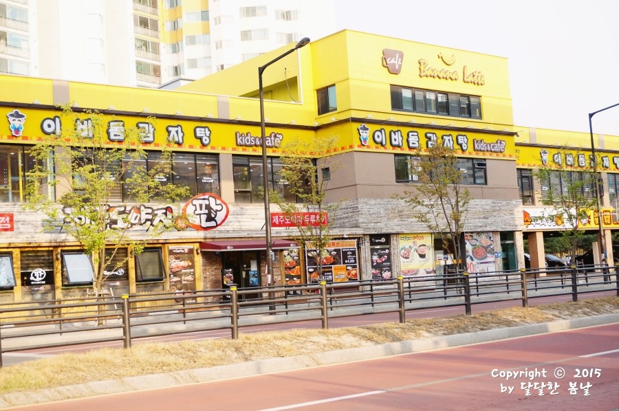 이바돔제주도야지 이미지