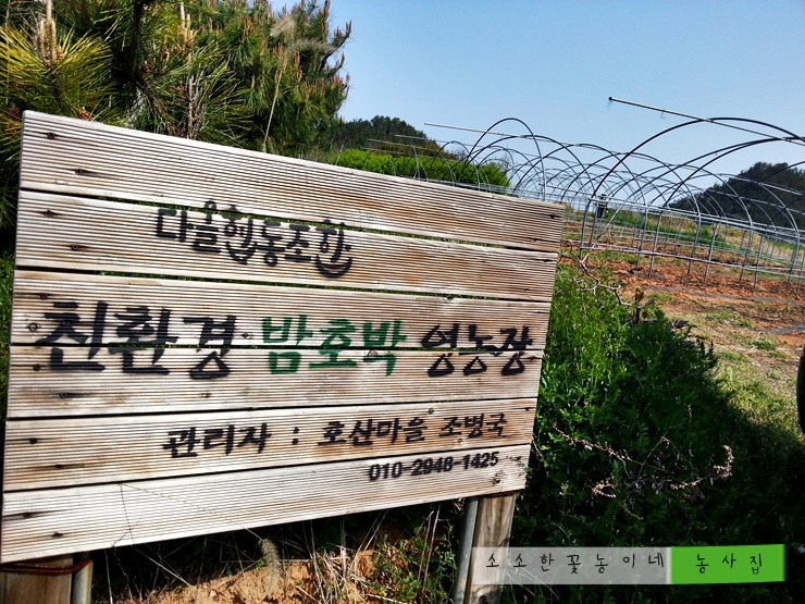 다올협동조합 이미지