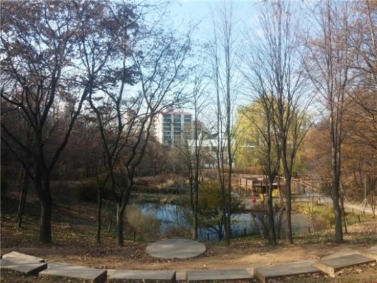 금천목재 이미지