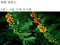 산토스커피(SANTOS COFFEE) 이미지