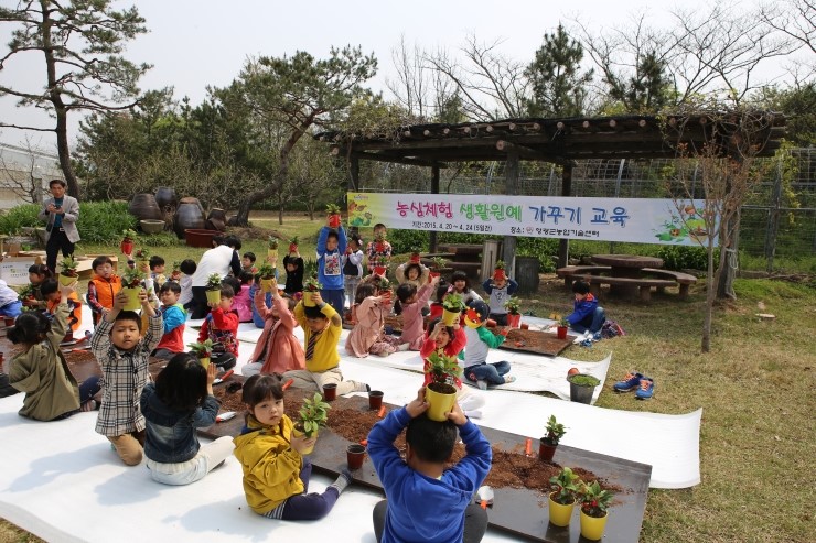 영광유치원 이미지