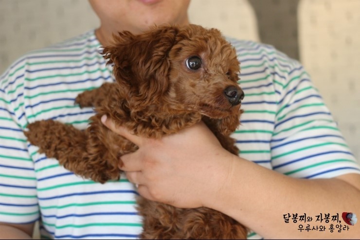 위드큐 이미지