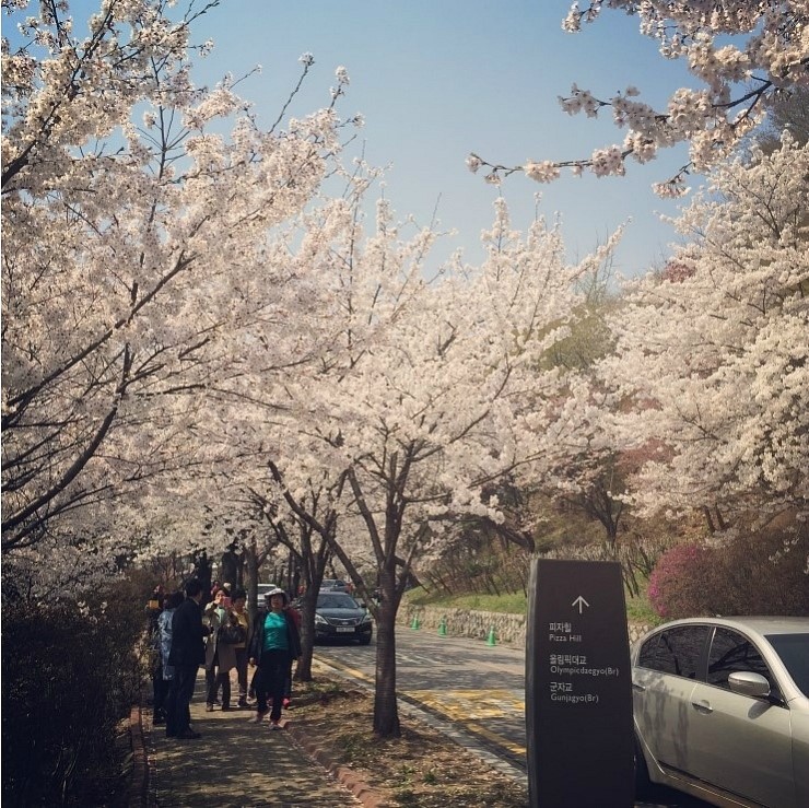 구름위산책 이미지