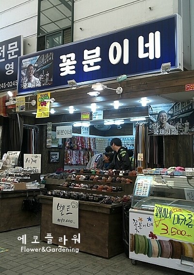 꽃분이네꽃집 이미지