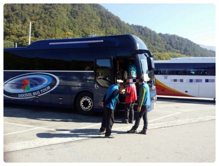 그린하나버스투어 이미지