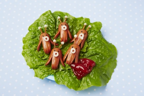 에코포리스트 이미지