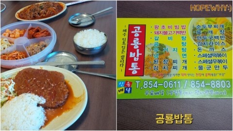 그린테리아1 이미지