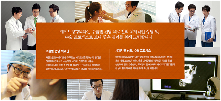 블루로즈 이미지