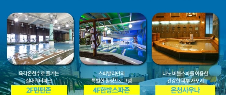 포레스트12 이미지