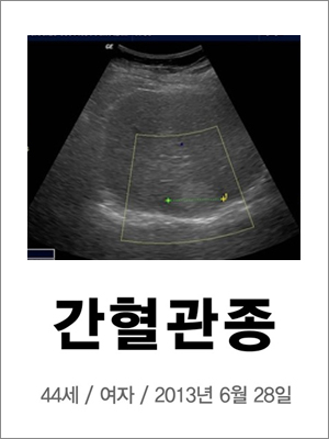 셀빙강내과의원 이미지