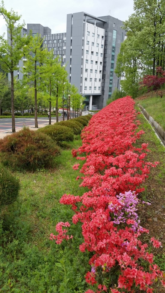 대전과학기술대학교홍은학사 이미지