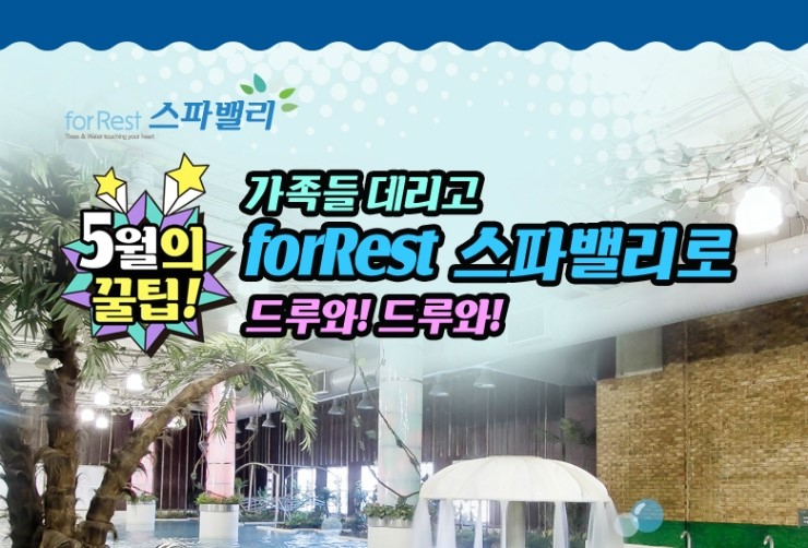 포레스트12 이미지