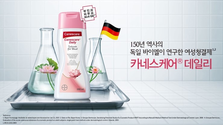 카네스 이미지