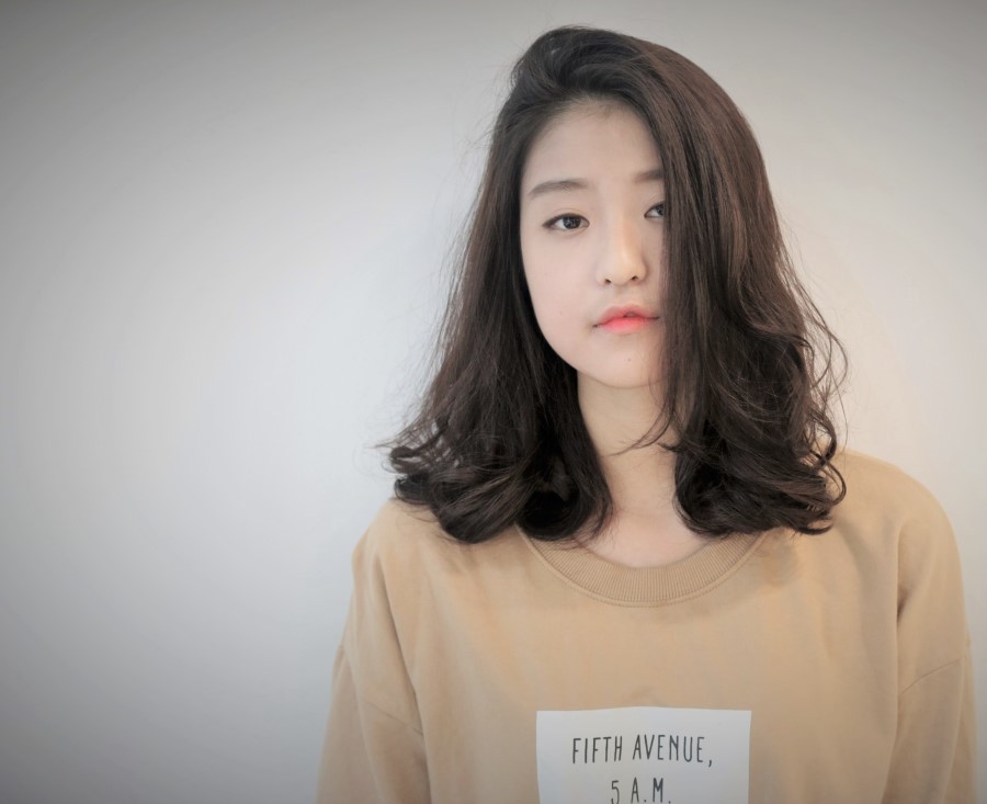 벨헤어 이미지