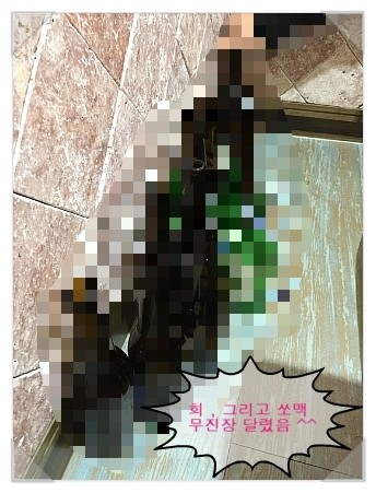 회달리다 이미지