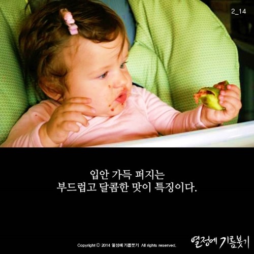 달콤열매 이미지