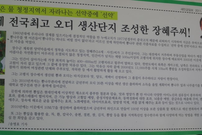 용강농원 이미지