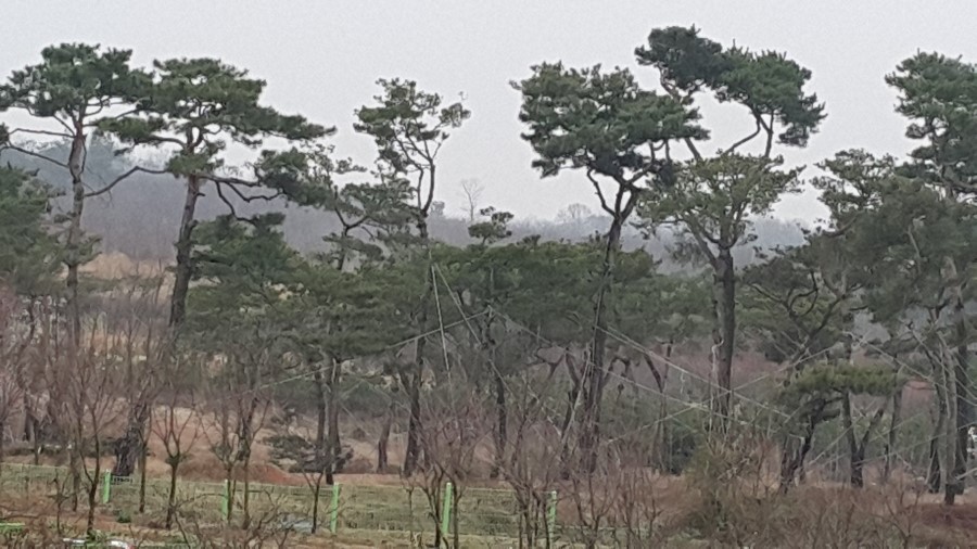 우림조경건설 이미지