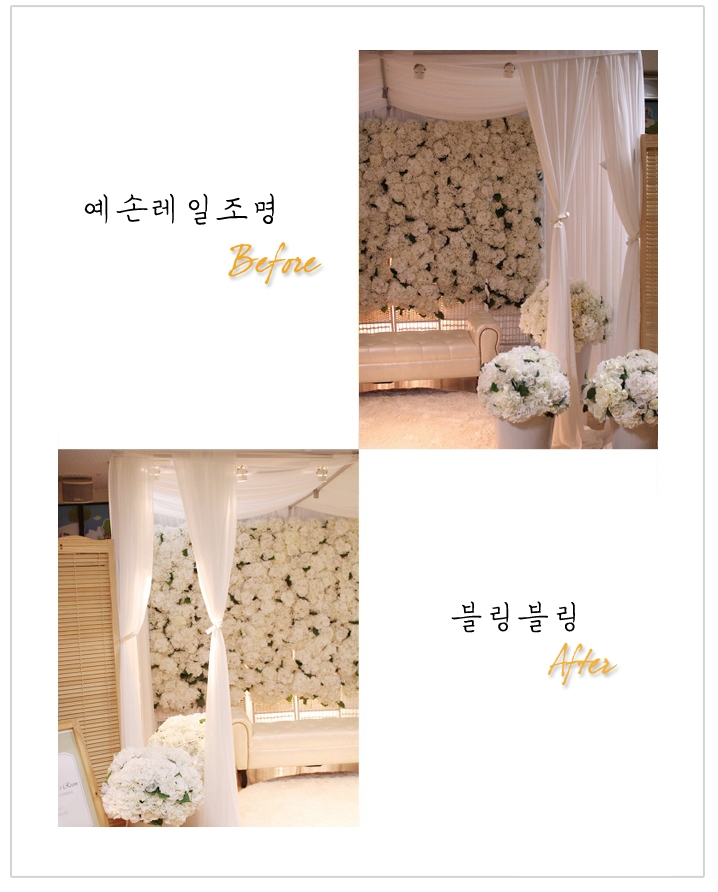 필조명 이미지