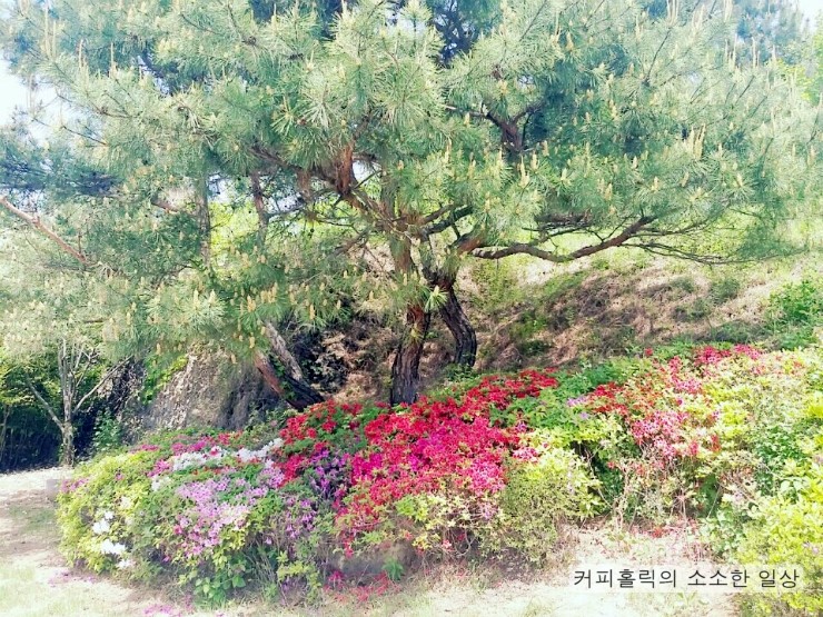 계명세탁소 이미지