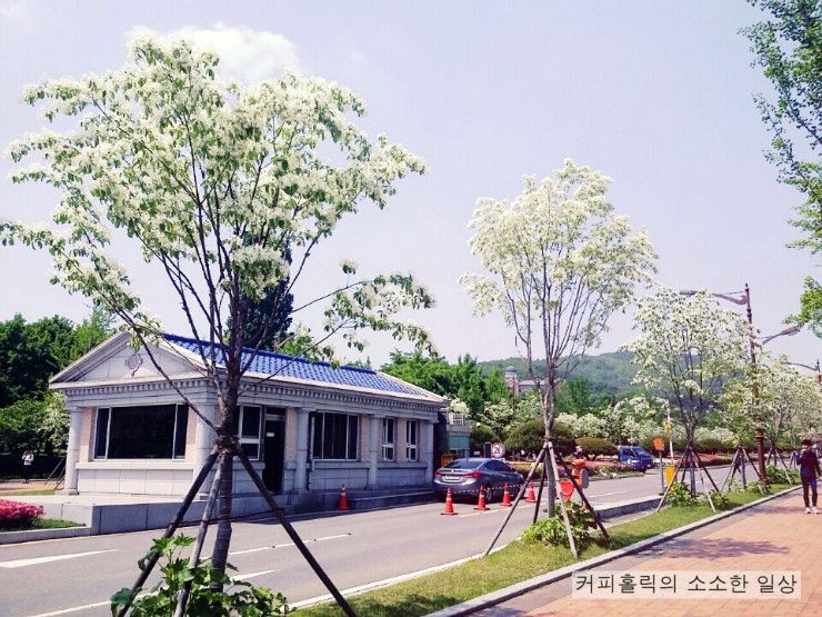 계명세탁소 이미지