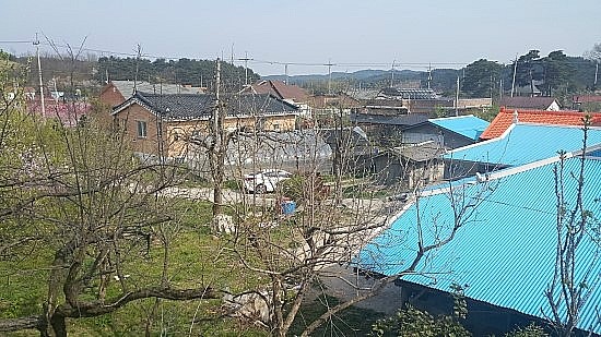 나의살던고향민박 이미지