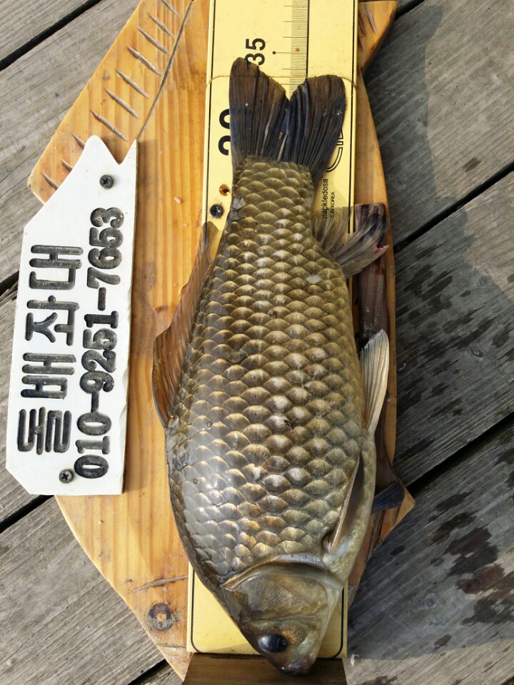 고삼닷컴 이미지