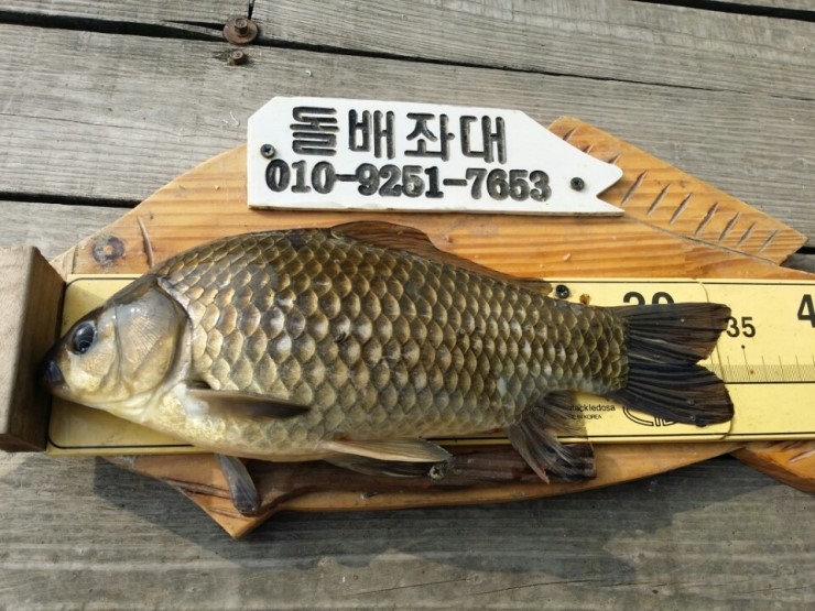 고삼닷컴 이미지