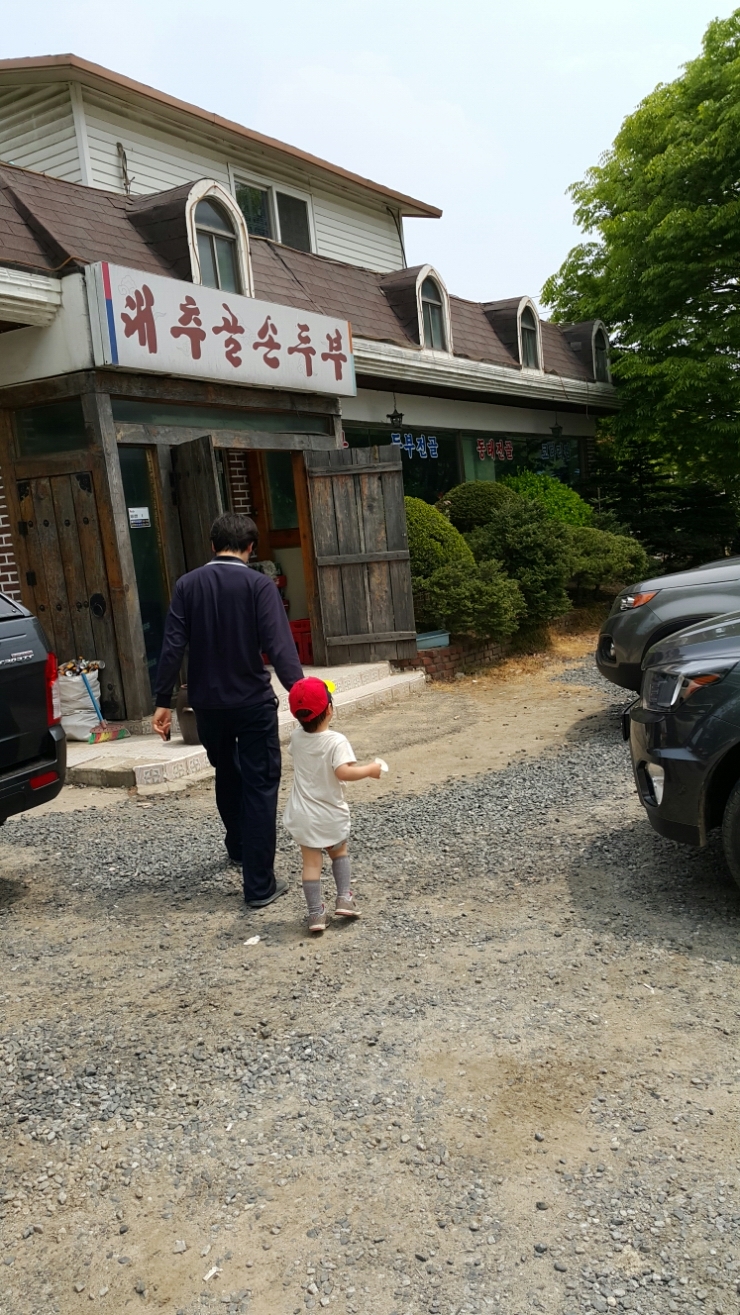 대추골손두부 이미지
